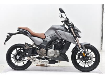 Import 2022 SENKE new street bike Alien Monster SK300-K from chinese wholesale supplier and manufacturer