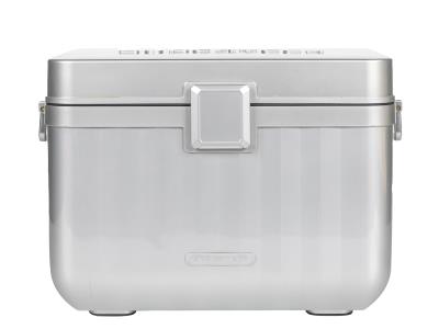 Import 26L Plastic Insulated Box from chinese wholesale supplier and manufacturer