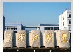 ZHEJIANG MINGFENG CAR ACCESSORIES CO. LTD.