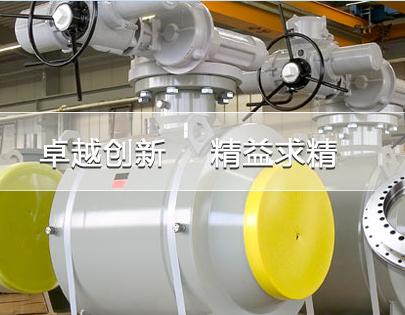 China National Bearing Joint I/E Corp.