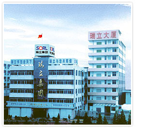 RUILI GROUP CO. LTD.