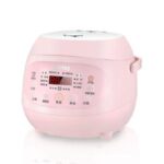 Import 2L Smart Rice Cooker with maifanite inner pot from chinese wholesale supplier and manufacturer