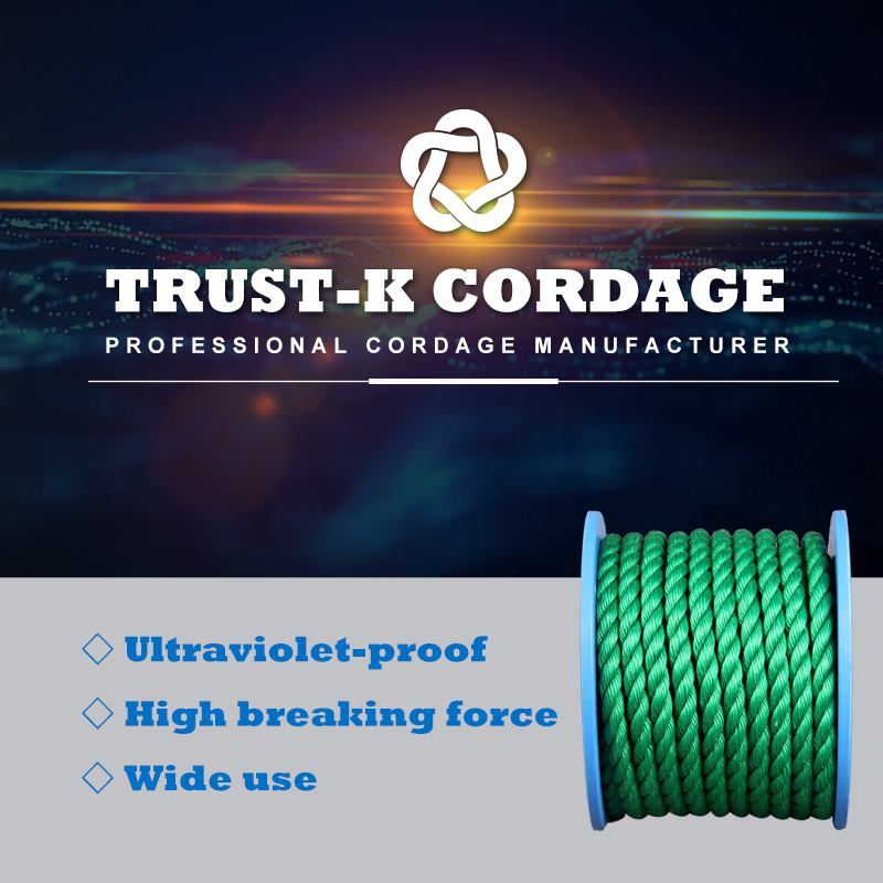Import PP Danline 3 Strand Twisted Rope from chinese wholesale supplier and manufacturer