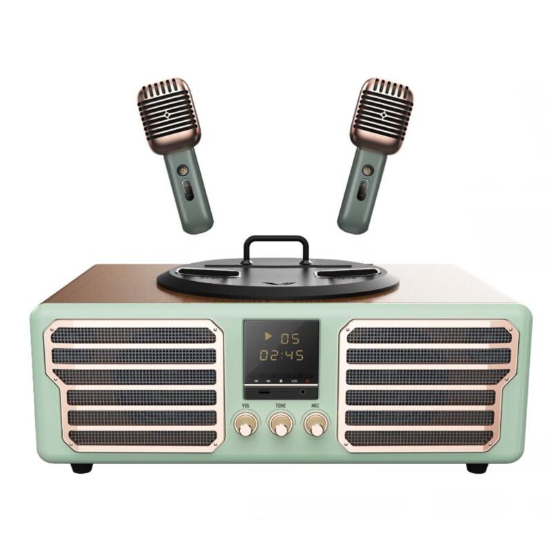 Import Bluetooth Karaoke Speaker from chinese wholesale supplier and manufacturer