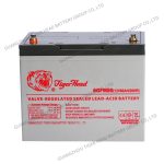 Import Tiger Head Brand 6GFM80 12V 80AH Valve-Regulated Lead Acid Battery from chinese wholesale supplier and manufacturer
