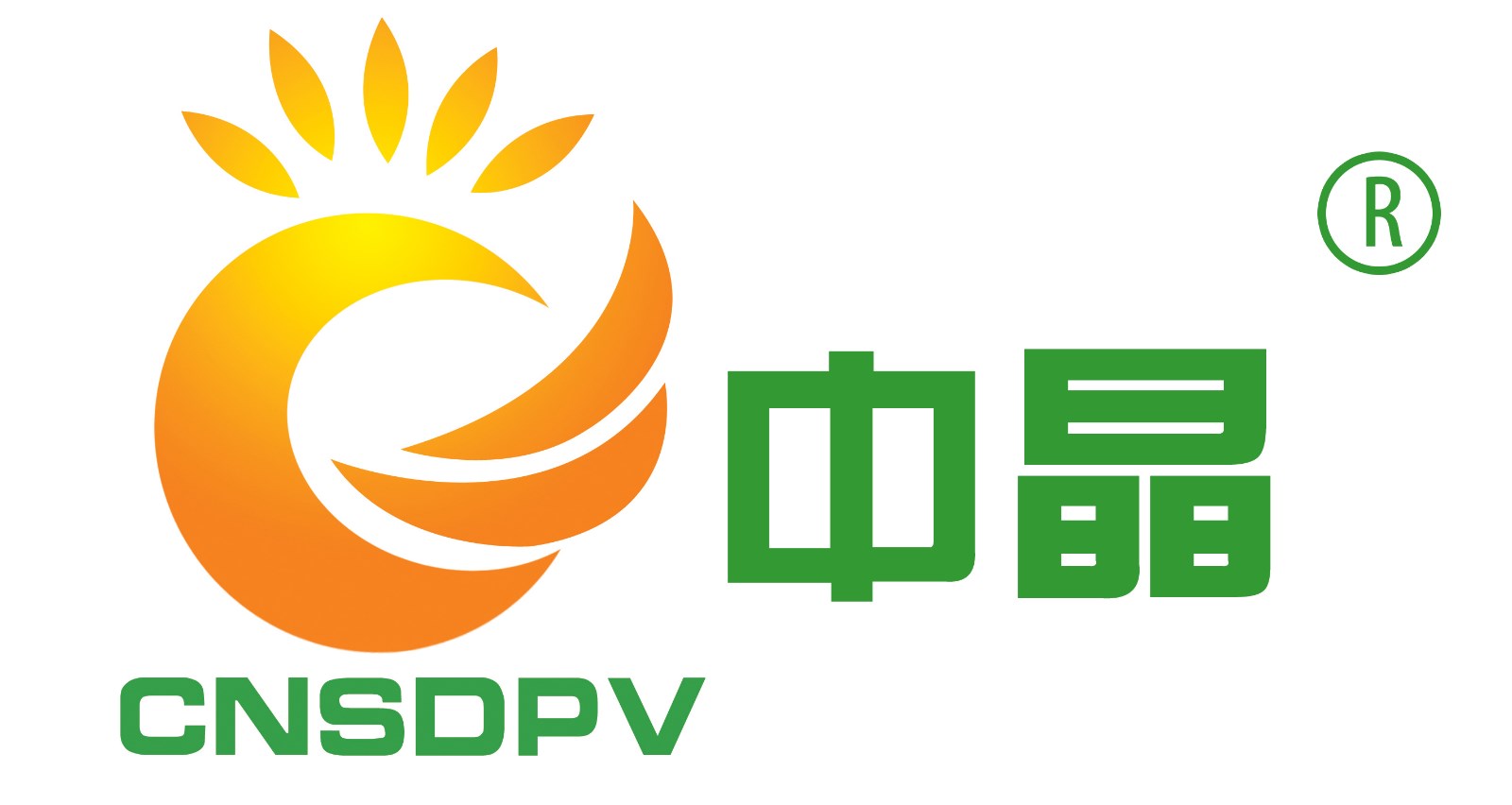 SHANDONG ZHONGJING SOLAR ENERGY CO. LTD