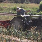 Import tractor mounted Potato and Garlic Harvester from chinese wholesale supplier and manufacturer