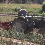 Import Agriculture 3 point linked potato harvest digger from chinese wholesale supplier and manufacturer