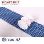 Import HONGSBELT HS-200AN Nub top modular plastic conveyor belt for vegetable processing from chinese wholesale supplier and manufacturer