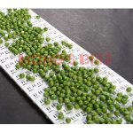 Import Plastic Modular Conveyor Belt HS-1000B from chinese wholesale supplier and manufacturer