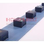Import HONGSBELT HS-1000A Flat top modular plastic conveyor belt for food industry from chinese wholesale supplier and manufacturer