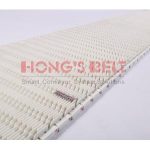 Import HONGSBELT HS-901D Raised Bid modular plastic conveyor belt from chinese wholesale supplier and manufacturer