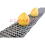 Import HONGSBEL HS-1700B Flush grid modular plastic conveyor belt for tire industry from chinese wholesale supplier and manufacturer
