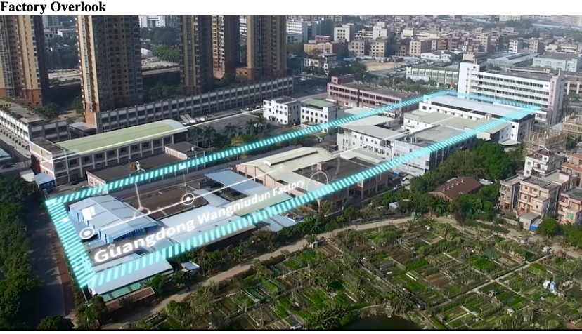 DONGGUAN HOSOWELL TECHNOLOGY CO. LTD