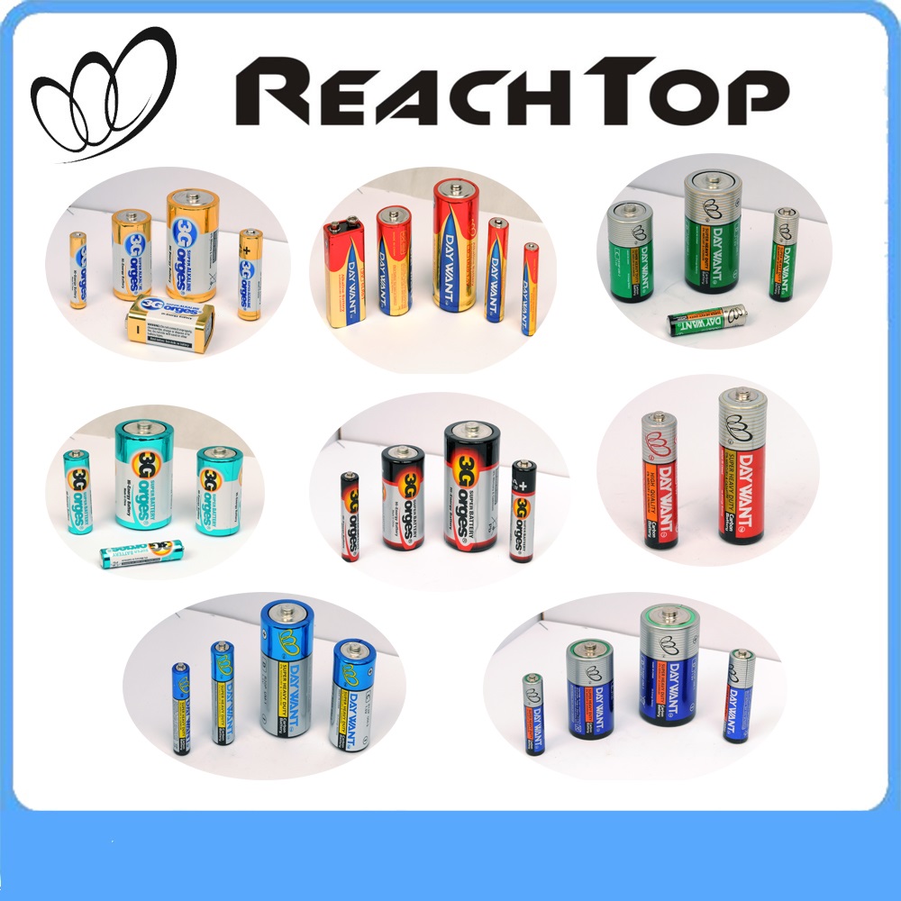 Jiaxing ReachTop Battery Power Technology Co. Ltd