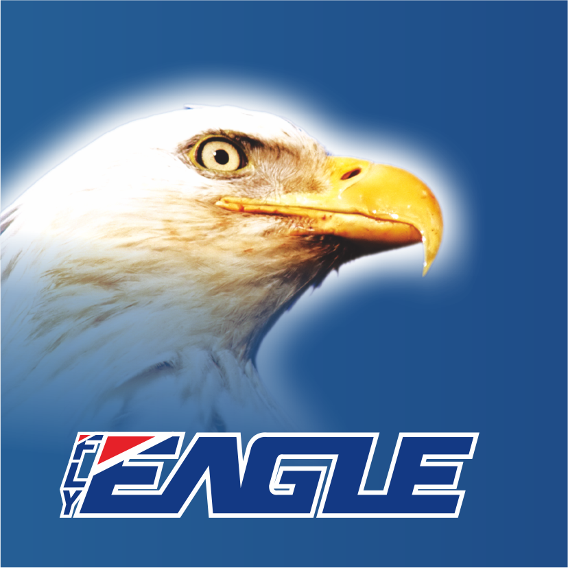 Guangzhou Eagle Electronic Technology Co. Ltd