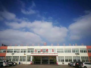SHANDONG ZHONGJING SOLAR ENERGY CO. LTD