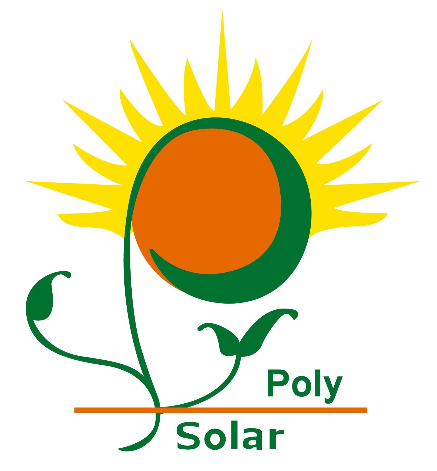 POLY SOLAR TECHNOLOGIES (BEIJING) CO. LTD.