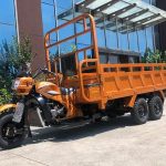 Import 300CC Water cooled gasoline cargo tricycle with double rear axle from chinese wholesale supplier and manufacturer