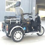Import 110CC Handicapped tricycle rear with small cargo box from chinese wholesale supplier and manufacturer