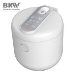 Import Low Sugar Rice Cooker RC100B20-L01 from chinese wholesale supplier and manufacturer