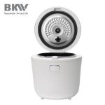Import Mini Rice Cooker RC100G12 from chinese wholesale supplier and manufacturer