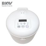 Import Mini Rice Cooker RC100G12 from chinese wholesale supplier and manufacturer