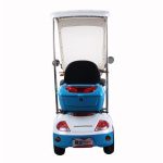 Import T418S China Electric Scooter 3 Wheels Electric Tricycle with Roof from chinese wholesale supplier and manufacturer