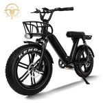 Import High Performance 20 Inch 750W Full Suspension Electric Fat Tire Electric Bike for Adult from chinese wholesale supplier and manufacturer