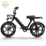 Import High Performance 20 Inch 750W Full Suspension Electric Fat Tire Electric Bike for Adult from chinese wholesale supplier and manufacturer
