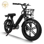 Import High Performance 20 Inch 750W Full Suspension Electric Fat Tire Electric Bike for Adult from chinese wholesale supplier and manufacturer