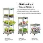 Import J&C MG-MiniFarm-Base Unit indoor grow rack grow light home garden grow light kits grow stand horticultural lighting furniture lighting decorative lighting connectable space saving from chinese wholesale supplier and manufacturer