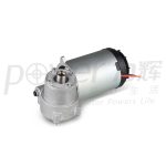 Import noodle dc motor from chinese wholesale supplier and manufacturer