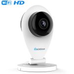 Import IP camera Planet 100C from chinese wholesale supplier and manufacturer