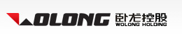 WOLONG ELECTRIC GROUP CO. LTD.