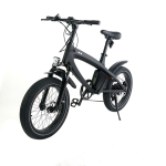 Import Lehe S2 fat tire electric bike from chinese wholesale supplier and manufacturer