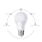 Import A Bulb from chinese wholesale supplier and manufacturer