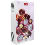 Import Home Gas Water Heater from chinese wholesale supplier and manufacturer