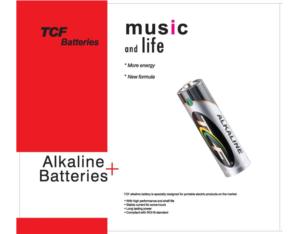 Import Battery from chinese wholesale supplier and manufacturer
