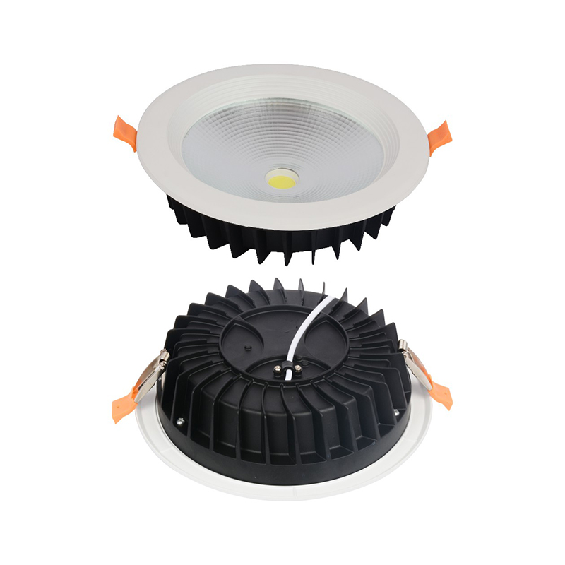 Import LED Down Light from chinese wholesale supplier and manufacturer