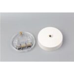 Import CEILING ROSE from chinese wholesale supplier and manufacturer