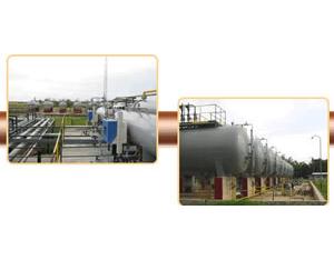Import Complete Plants from chinese wholesale supplier and manufacturer