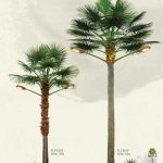 Import Coconut tree streetlight from chinese wholesale supplier and manufacturer