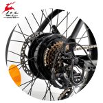 Import 20″ Al Alloy Rear Motor Beach Tires Electric Bicycle from chinese wholesale supplier and manufacturer
