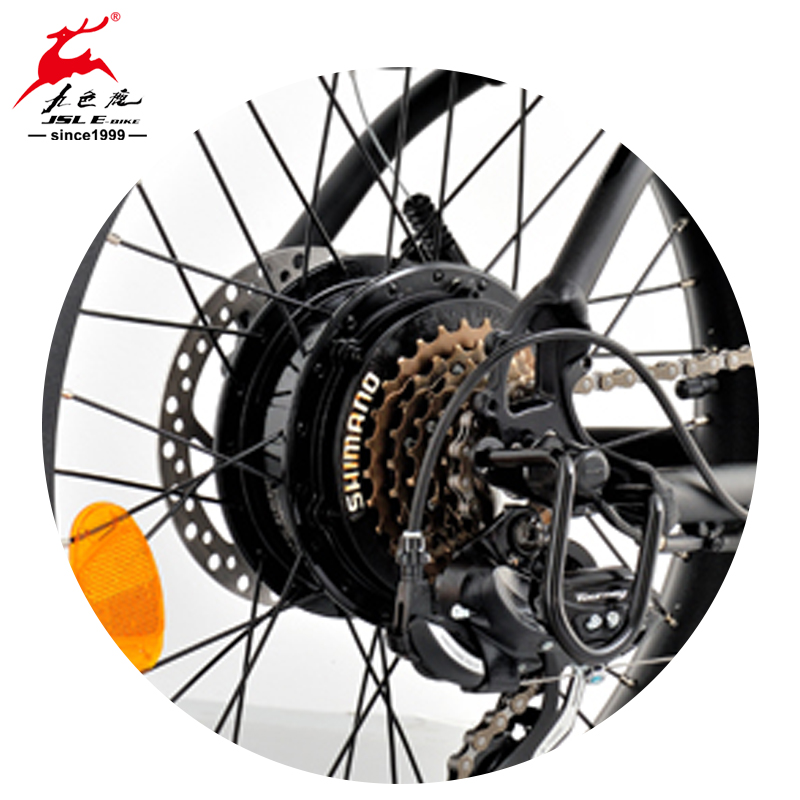 Import 20″ Al Alloy Rear Motor Beach Tires Electric Bicycle from chinese wholesale supplier and manufacturer