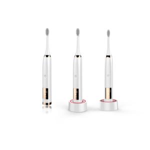 Import Electric toothbrush from chinese wholesale supplier and manufacturer