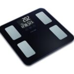 Import Electronic Body Fat Scale / EF881H from chinese wholesale supplier and manufacturer