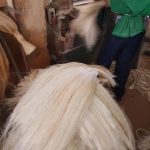 Import Sisal Fiber from chinese wholesale supplier and manufacturer