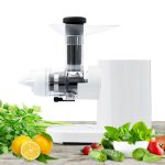Import Horizontal slow juicer from chinese wholesale supplier and manufacturer
