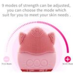 Import Facial Sonic Cleaner from chinese wholesale supplier and manufacturer